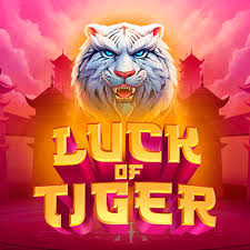 Reflections on Luck of the Tiger: A Journey Through Time and Chance