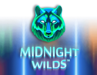 Unleashing the Magic: A Deep Dive into the Enchanting World of Midnight Wilds!