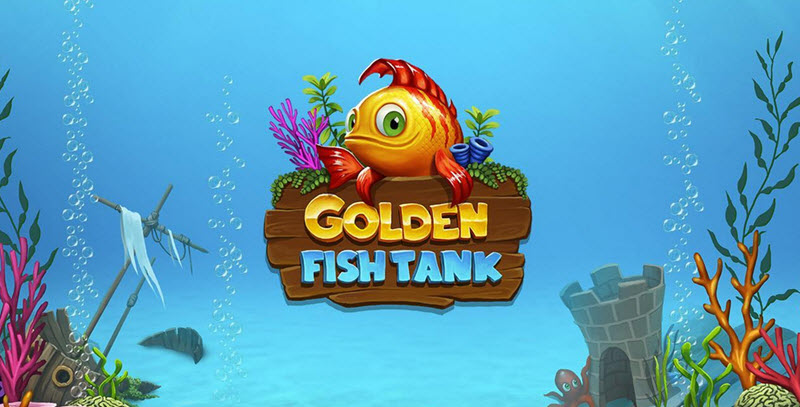 Golden Fish Tank